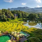 Four Seasons Resort Chiang Mai Review: Mae Rim Rice Paddy, Honest Cons First