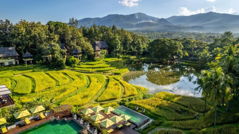 Four Seasons Resort Chiang Mai Review: Mae Rim Rice Paddy, Honest Cons First