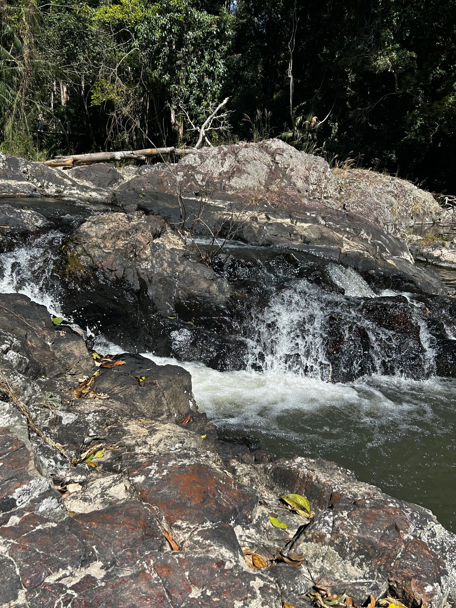 Khao Yai National Park forest landscape, UNESCO biosphere site