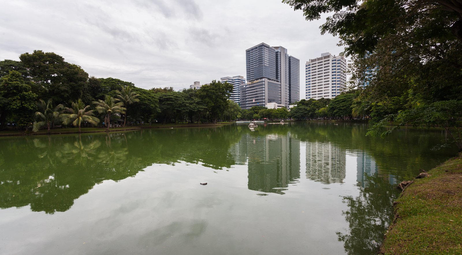Lumphini Park central green space in Bangkok