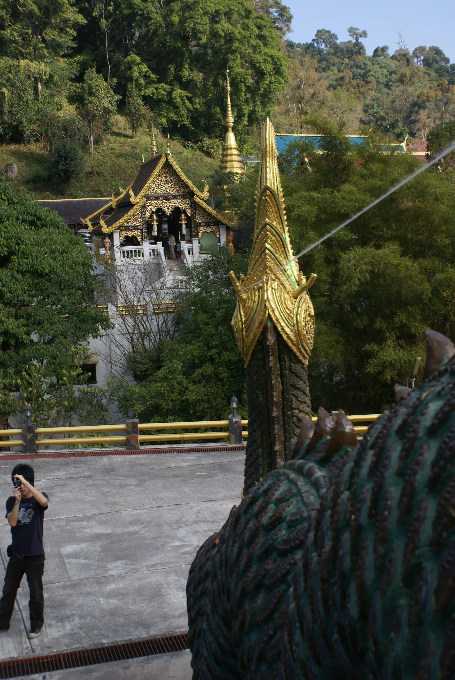 Doi Inthanon mountain landscape with cool-climate forest