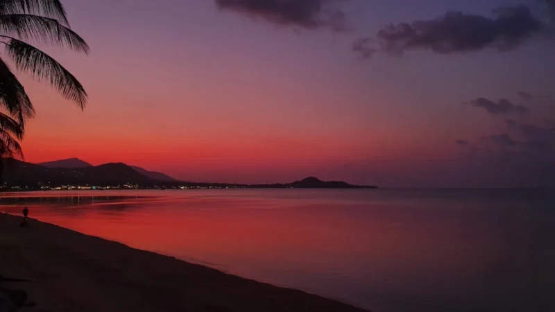 Best Beaches in Koh Samui (2026): 10 Beaches by Best-For Reality