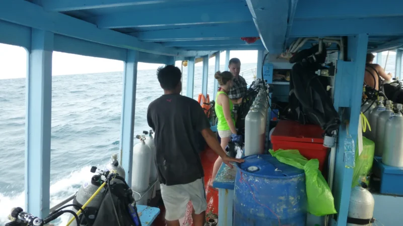 Koh Samui to Koh Tao Ferry 2026: Schedule, Prices, Booking