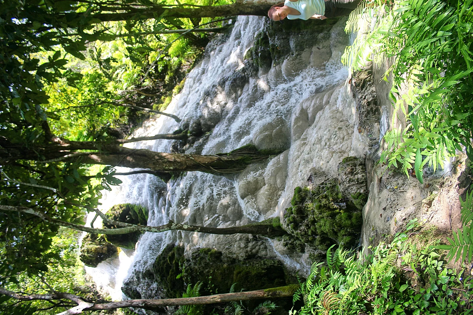 Bua Tong Sticky Waterfalls near Chiang Mai