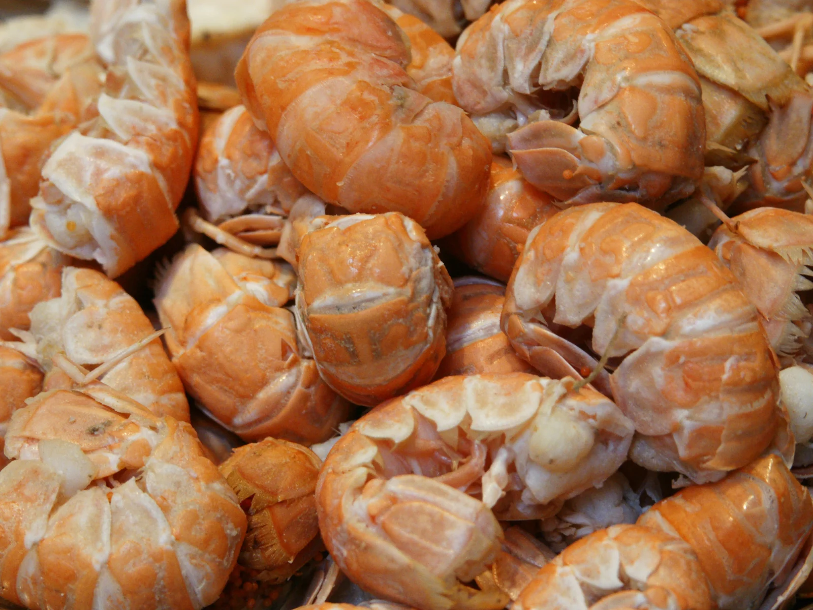 Cooked langoustine tails, a Mediterranean seafood ingredient