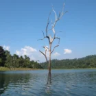 Thailand Itinerary 2026: 3, 7, 10, 14, 21 Day Frameworks Compared