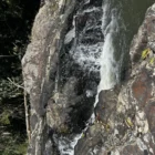 Khao Yai National Park Guide (2026): Wildlife, Waterfalls, Wine