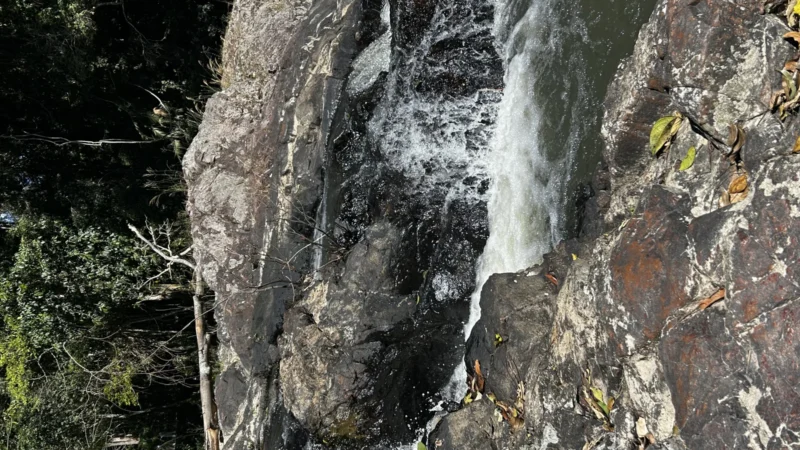 Khao Yai National Park Guide (2026): Wildlife, Waterfalls, Wine