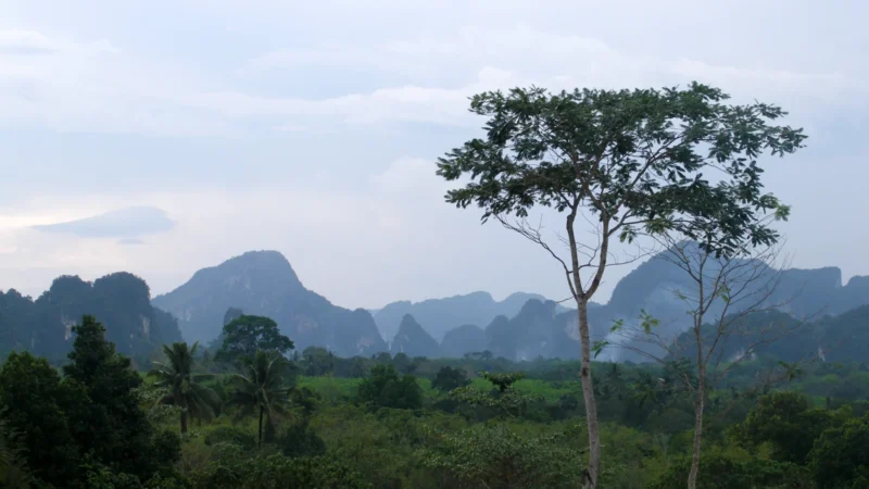 Bangkok to Krabi Flights 2026: Airlines, Prices, KBV to Ao Nang Transfer