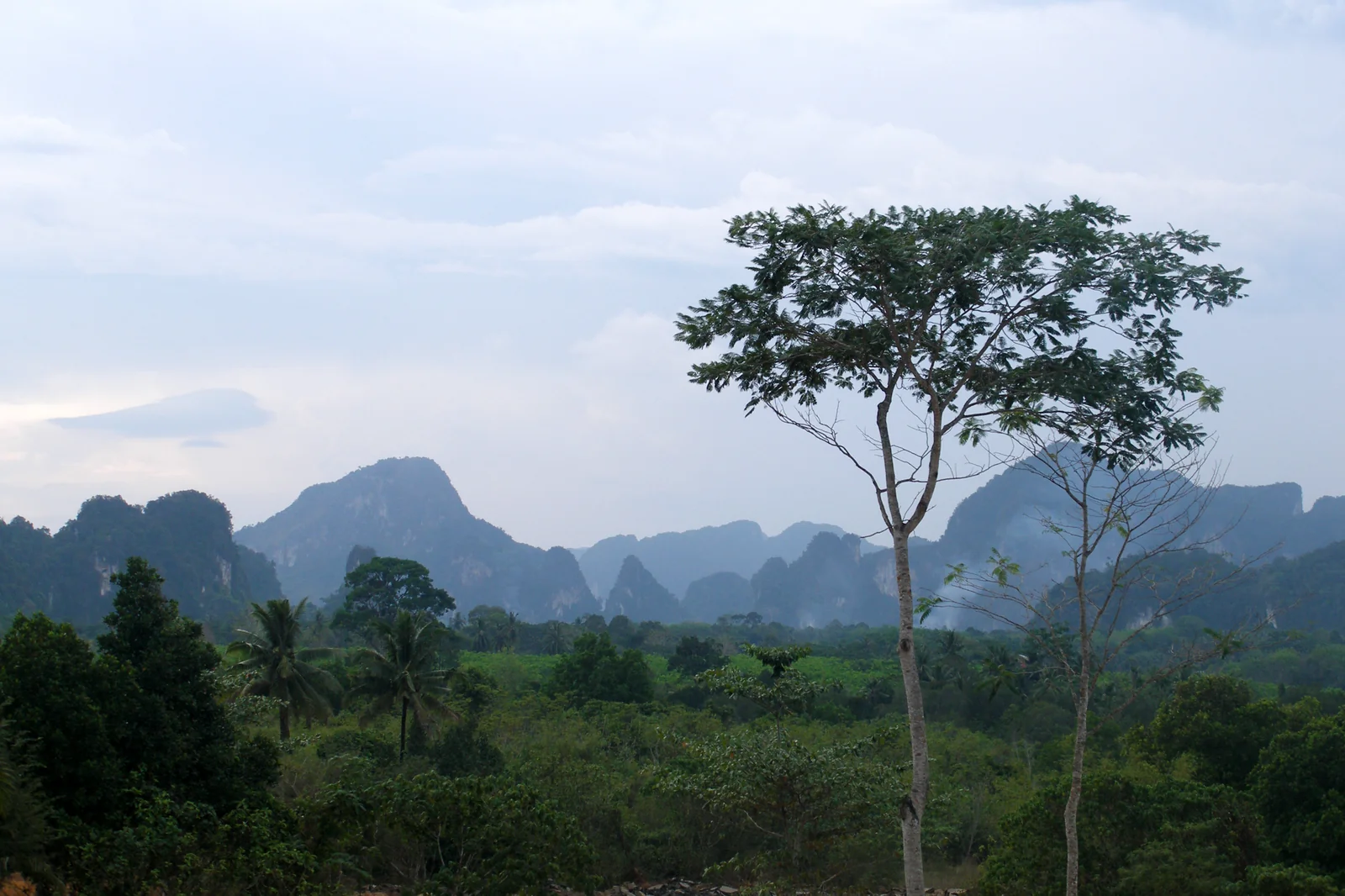 Krabi limestone karst landscape the visual signature of the Krabi flight destination