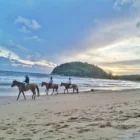 Trisara Phuket Review (2026): Pool Villas, PRU, and Real Cost