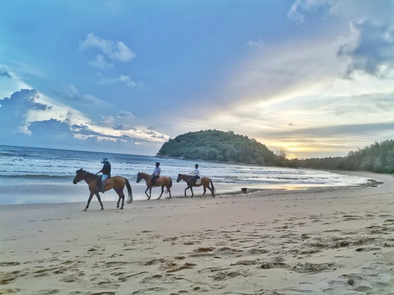 Trisara Phuket Review (2026): Pool Villas, PRU, and Real Cost