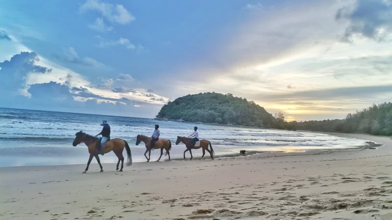 Trisara Phuket Review (2026): Pool Villas, PRU, and Real Cost
