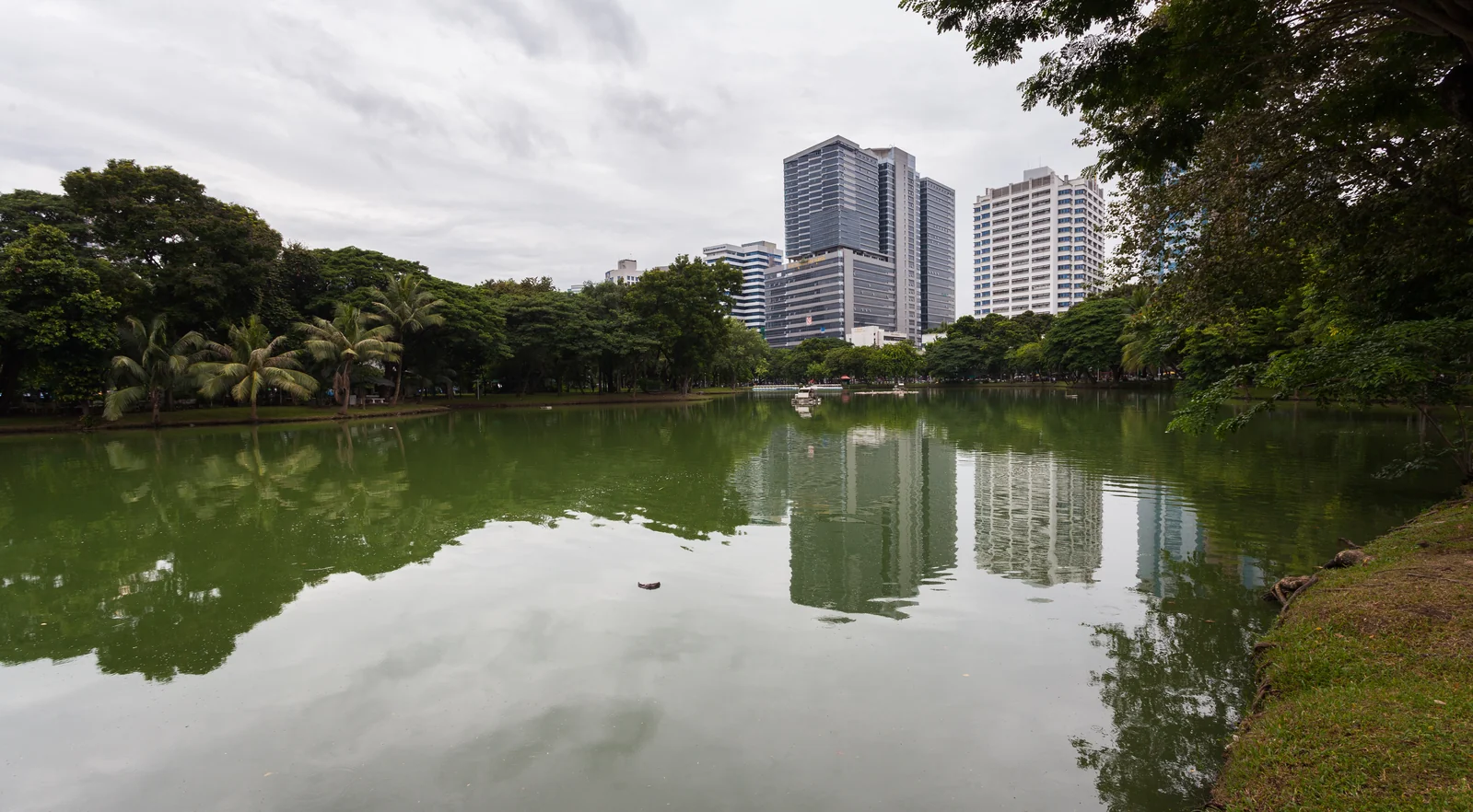 Lumphini Park green space in central Bangkok