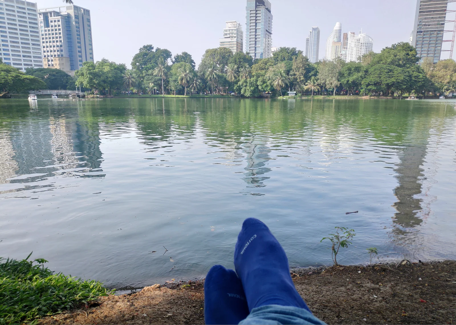 Lumphini Park in Bangkok seen from ground level, with the Sathorn financial district towers in the background