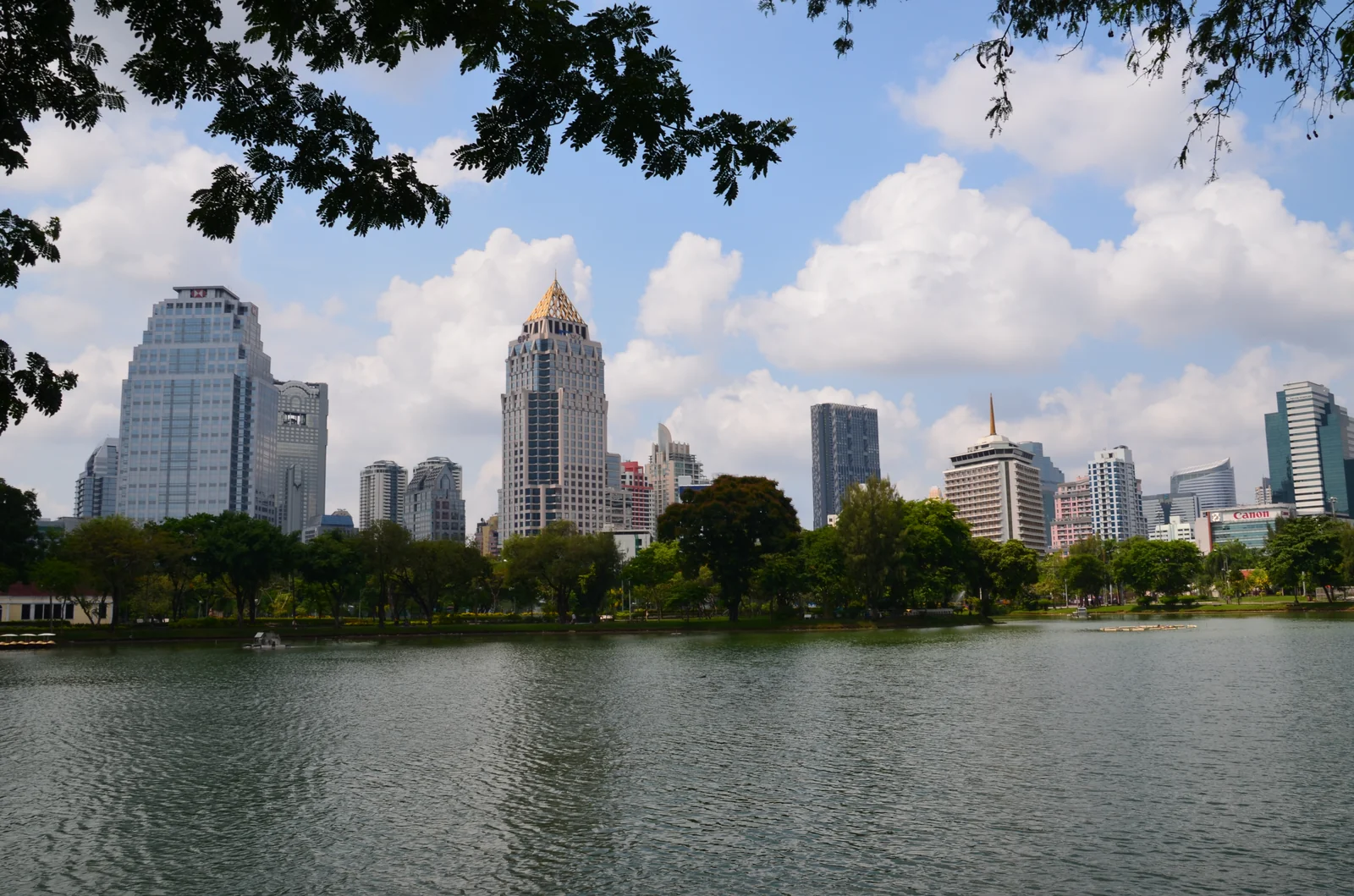 Lumpini Park Bangkok with Silom-Sathorn CBD skyline behind the park trees