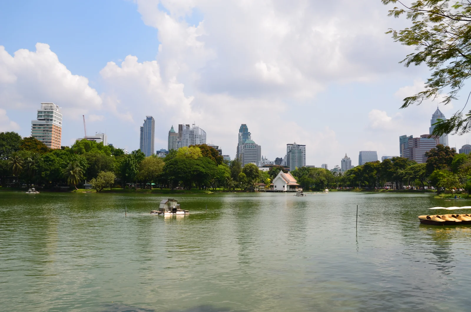 Lumpini Park seen from a high floor with the commercial towers of Ratchadamri and Ratchaprasong behind, the angle SO Bangkok rooms and bar deliver