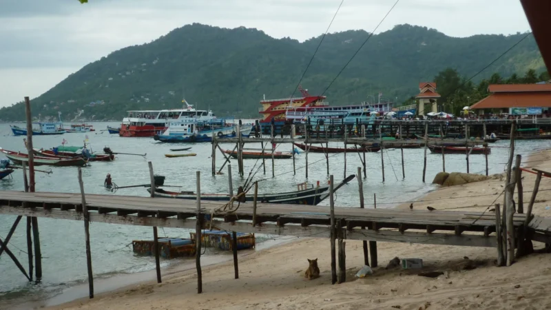 Chumphon to Koh Tao Ferry 2026: Lomprayah Catamaran Real Guide