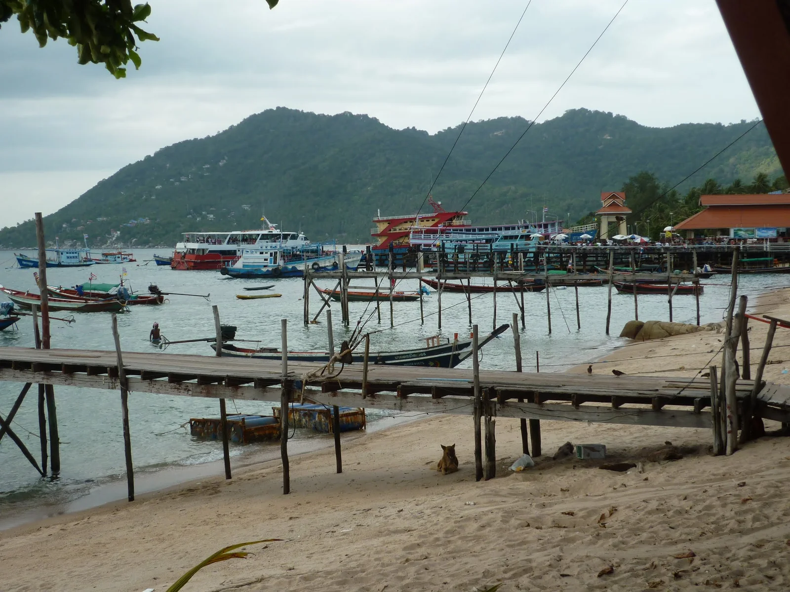 Mae Haad Bay and pier on Koh Tao the destination of high-speed catamaran ferries from Chumphon