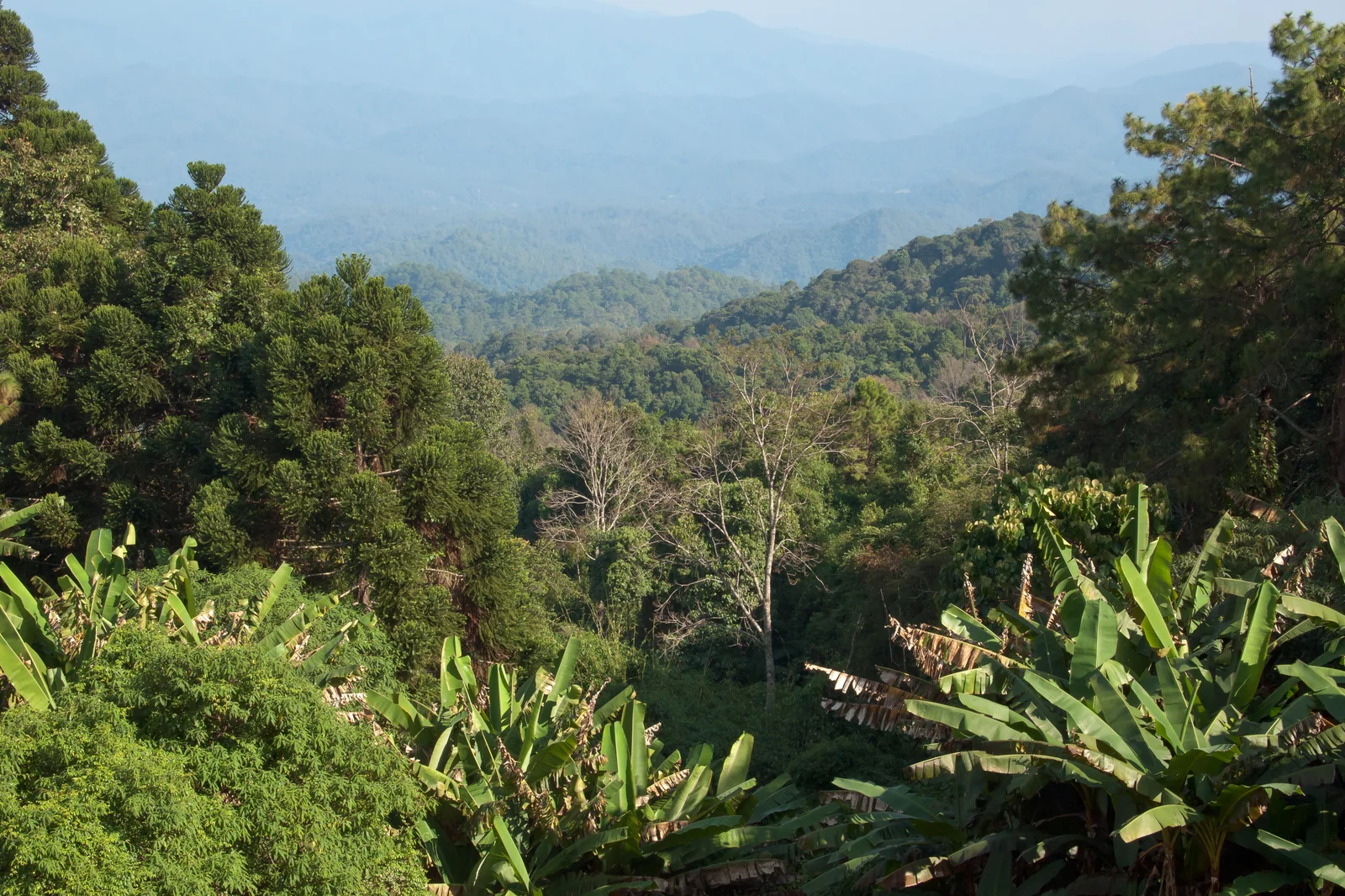 Mountains above Mae Rim valley north of Chiang Mai