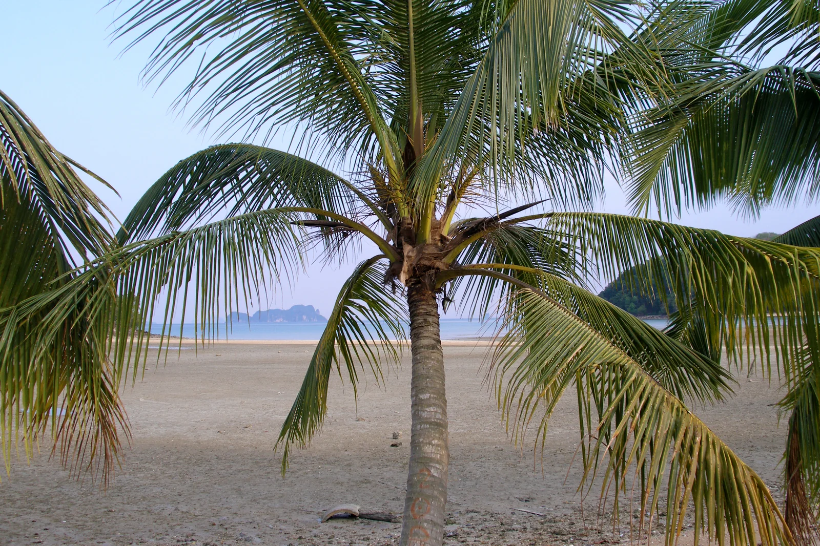 Palm-lined Koh Yao Noi beach with limestone karsts offshore