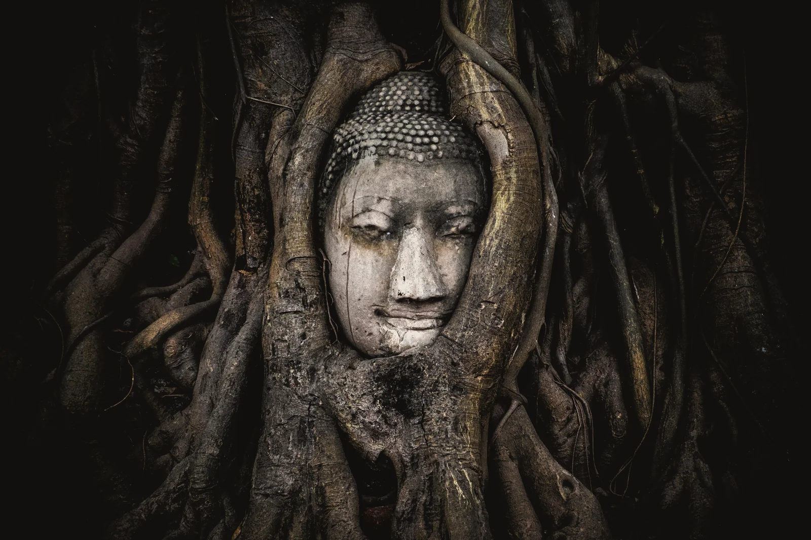 The temple ruins of Ayutthaya