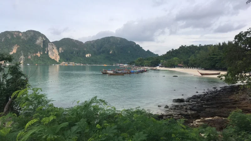 Phuket to Koh Phi Phi Ferry: Timetable, Prices and Booking (2026)