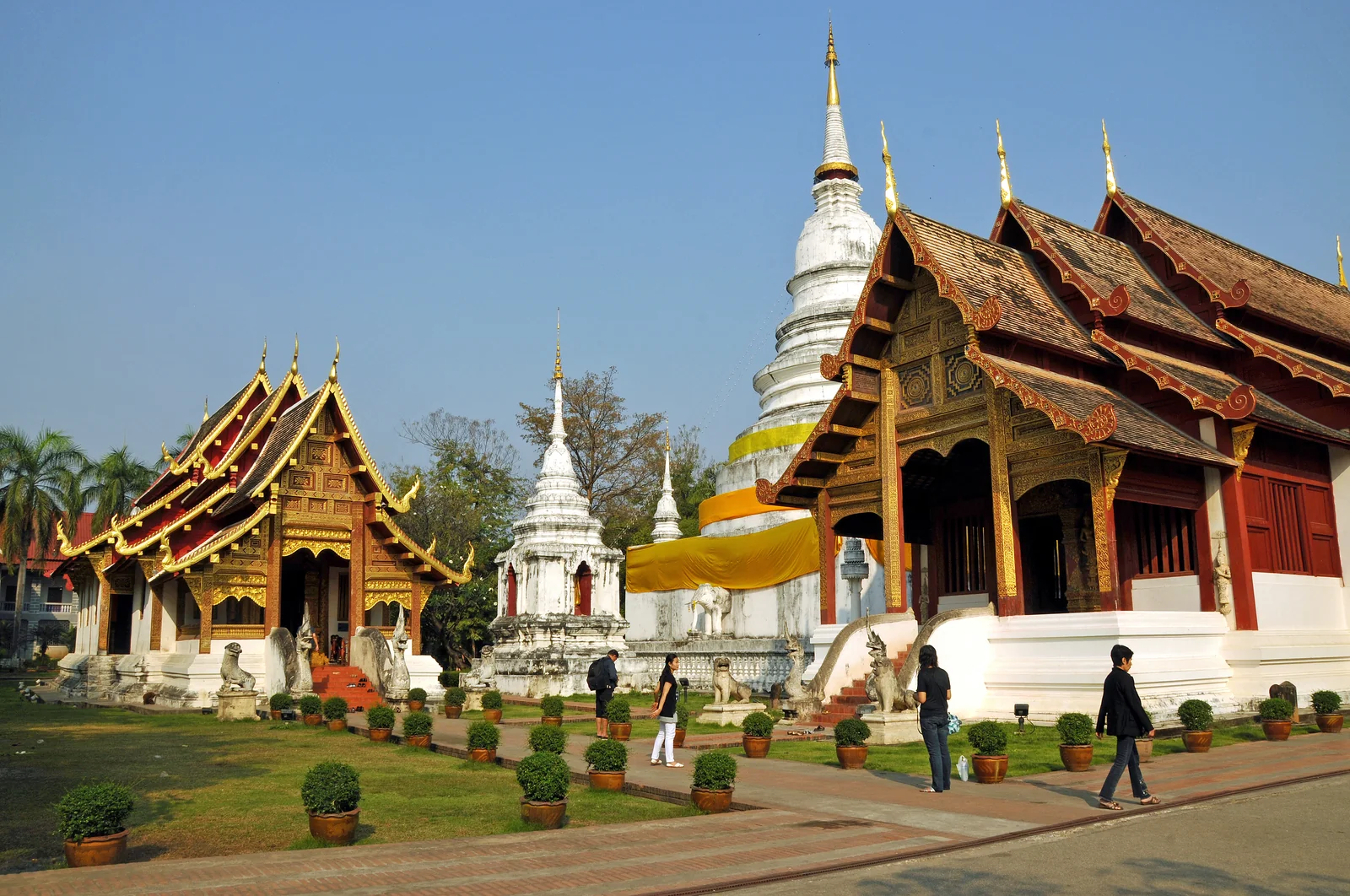 Wat Phra Singh gilded viharn and inner courtyard at sunrise in Chiang Mai Old City