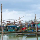 How to Get from Bangkok to Koh Phangan (2026)
