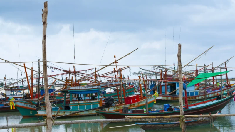 How to Get from Bangkok to Koh Phangan (2026)