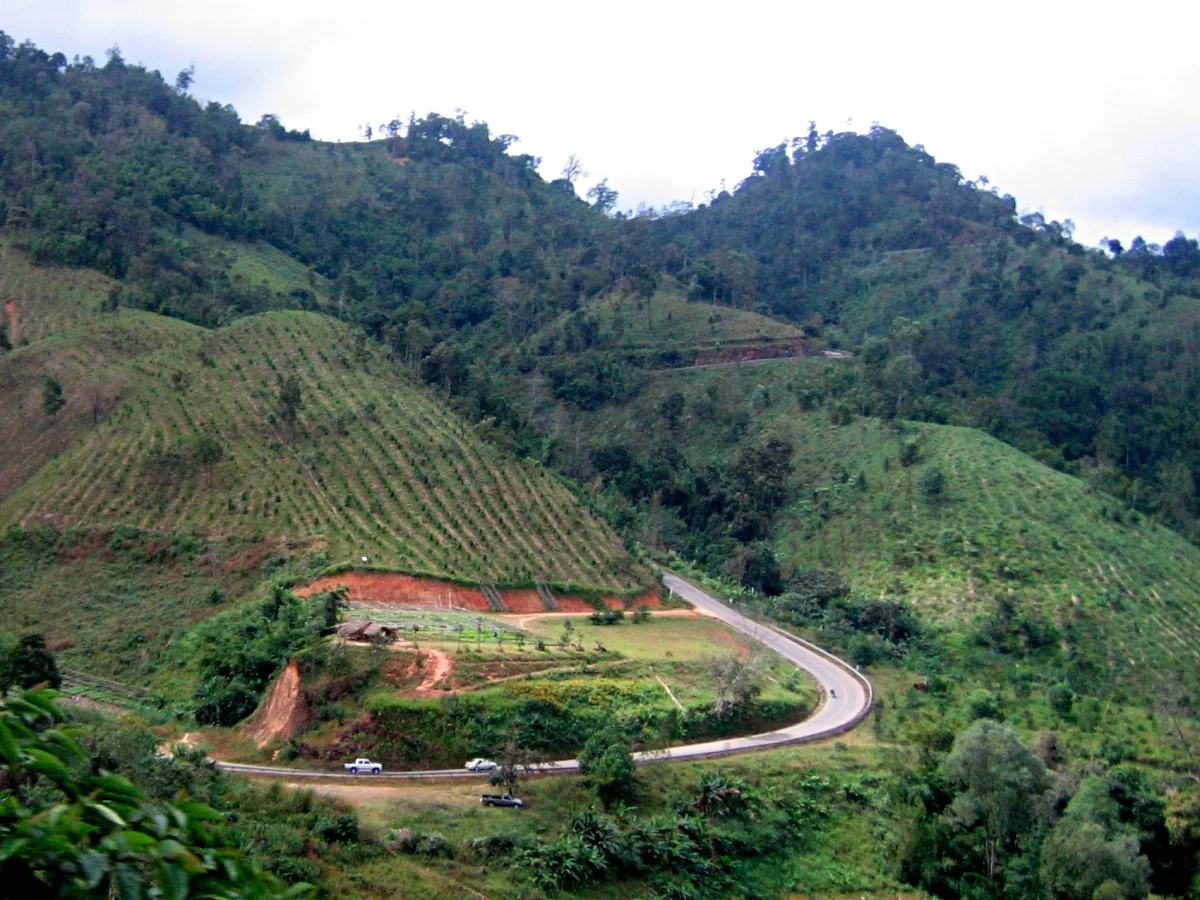 Two lane mountain highway curving through forested hills and terraced slopes in northern Thailand