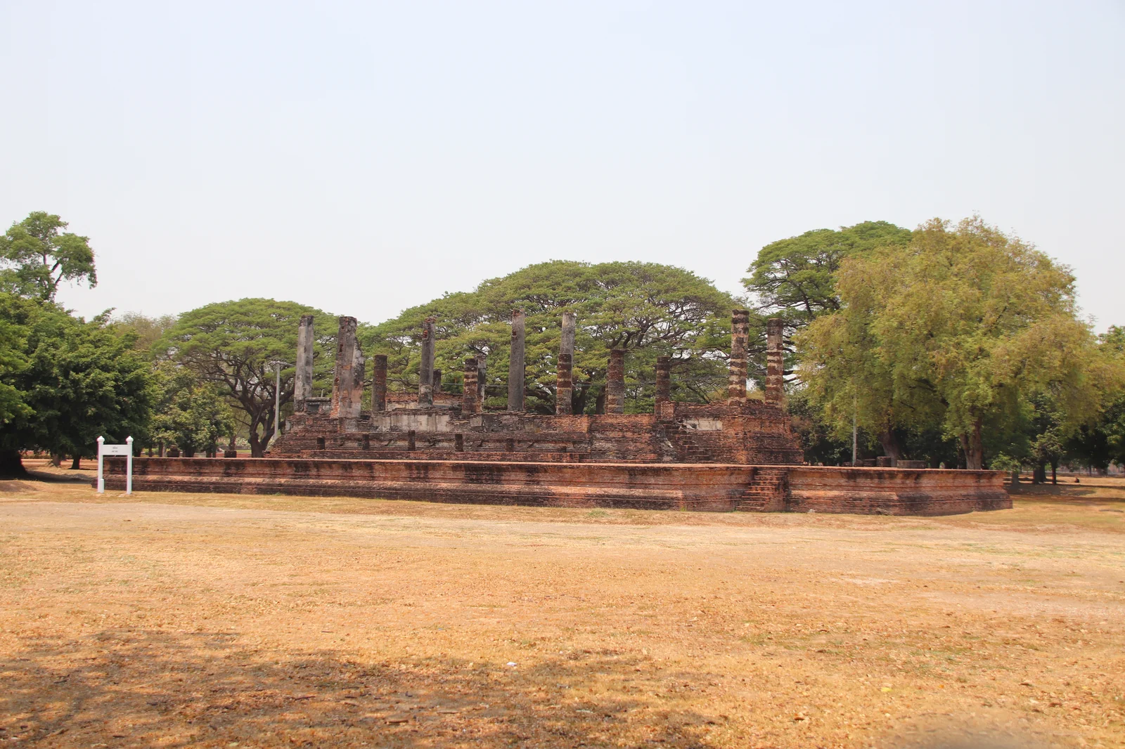 Wide view of a ruined wihan with brick columns and rain trees at Sukhothai Historical Park